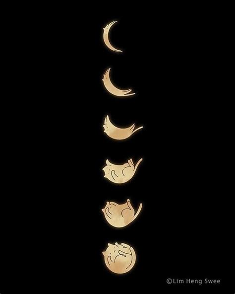 Cat Landscape Phases Of The Meow Art Print In Moon Phases