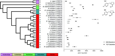 TCP And IMD Depletion By 26 Recombinantly Expressed Bee P450s The