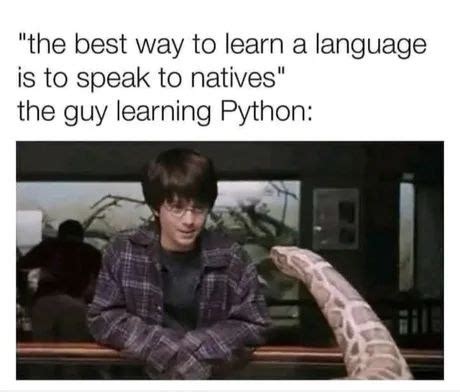 Learning Python Meme By Darknet Memedroid