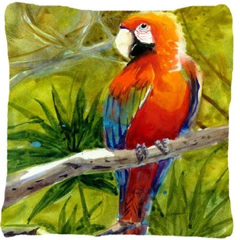 Paisajes Y Bodegones Cartucho Y Guacamaya Oleo Sobre Lienzo Watercolor 55E