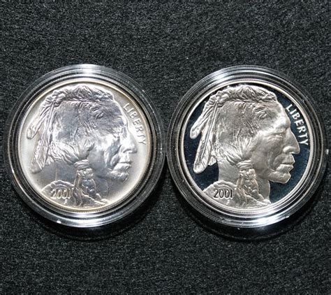 2001 American Buffalo Commemorative Coins (2-Coin Set) - Numismax