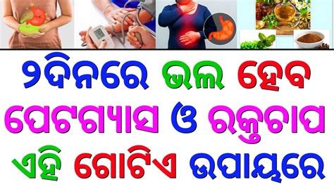 Odia Gk Questions And Answers General Knowledge In Odia Gk Quiz