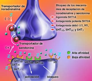 Adicción a las drogas psicoactivas Mecanismo de acción de las drogas