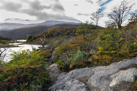 Parque Nacional Tierra Del Fuego Ushuaia Argentina Foto Premium