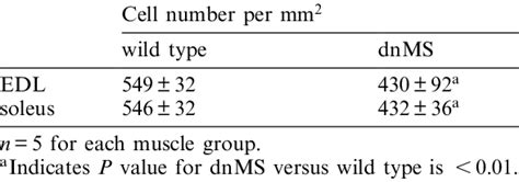 Comparison Of Fast EDL And Slow Soleus Muscle Cross Sectional Area