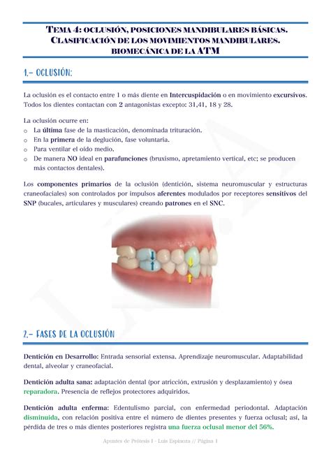 Y Pr Tesis Dental Tema Oclusi N Posiciones Mandibulares