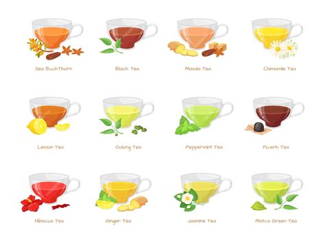 Premium Vector Herbal Tea Types Different Type Green Black Teas Hot