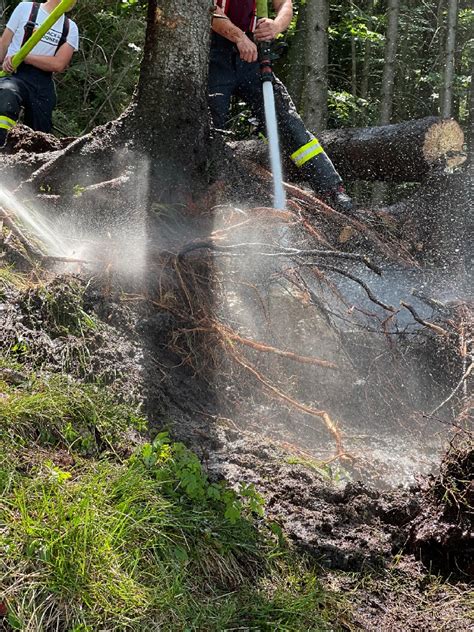 Hfw Bad Ischl Brand Am Rettenbacherkreuz