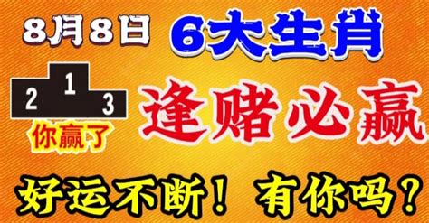 8月8日 6大生肖 逢賭必贏 好運不斷！有你嗎？