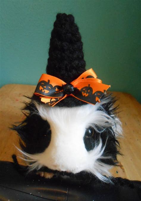 Guinea Pig Witch Hat Guinea Pig Clothes Bearded Dragon Witch