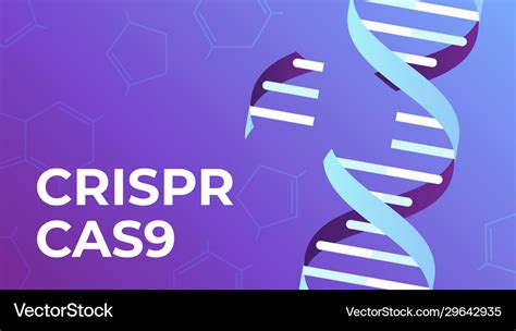 Crispr Cas9 Dna Gene Editing Tool Genes Royalty Free Vector