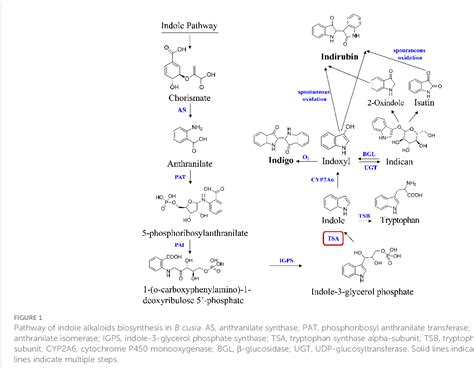 Figure From Molecular Cloning And Functional Characterization Of