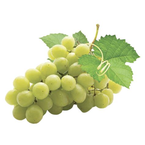 Italian Seedless White Grapes | Solarelli