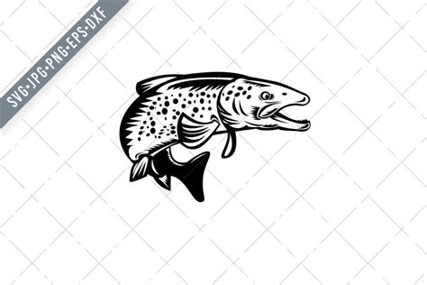 Speckled Trout Fish Jumping Woodcut Retro Black And White Etsy