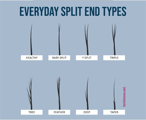 Detecting Different Types Of Split Ends And Banishing Them