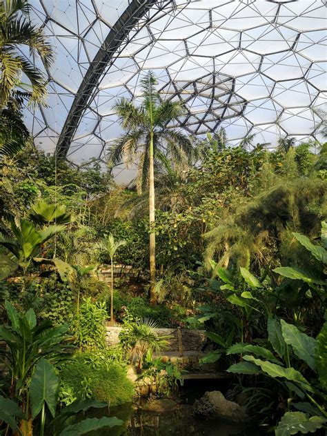 Eden Project Cornwall Jessica Wilde Design