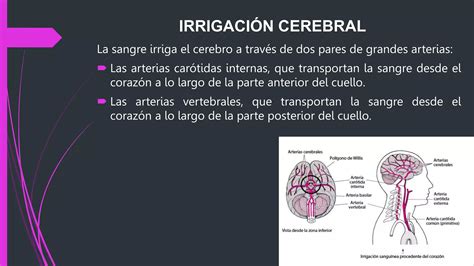 INTRODUCCIÓN A LOS ACCIDENTES CEREBROVASCULARES pptx