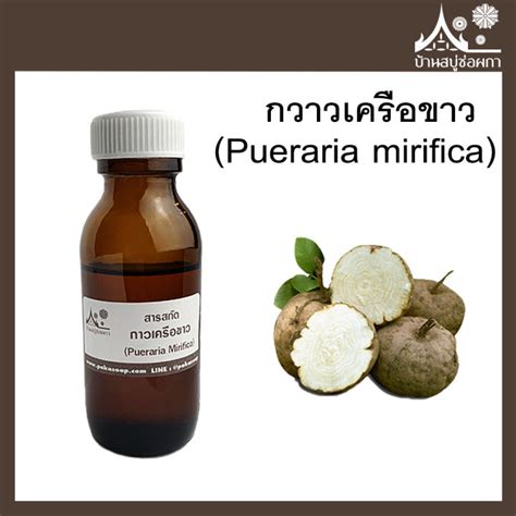 สารสกัดกาวเครือขาว Pueraria Mirifica Extract สบู่ เครื่องสำอาง