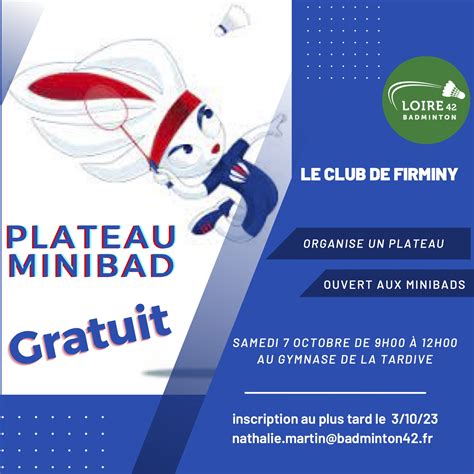 Er Plateau Minibad Comit D Partemental Loire Badminton