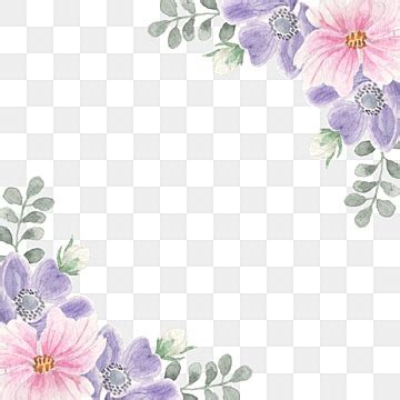 Anemone Watercolor Png Image Cute Pink Anemone Watercolor Flower