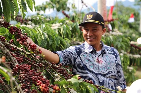 Festival Kopi Lampung Barat 2018 Sukses Gerbang1news