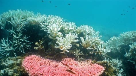 Cinco Distritos Costeiros Novo Aviso Amarelo De Agita O Mar Tima