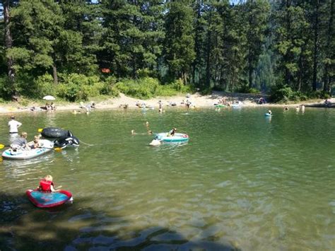 Beaver Bay Beach Picture Of Farragut State Park Athol Tripadvisor