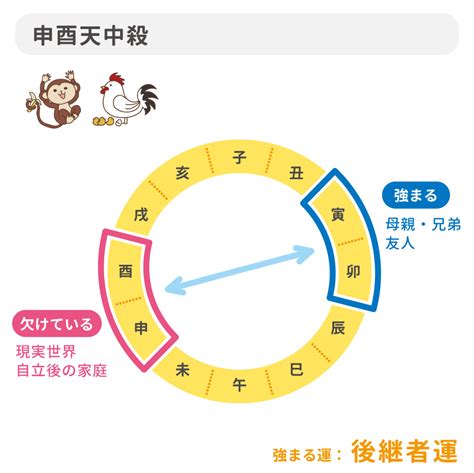 四柱推命【天中殺】とは？意味・調べる方法・過ごし方を解説｜優しい四柱推命