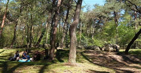 Großer Sand Hümmling Pfade BERGFEX Wanderung Tour Niedersachsen