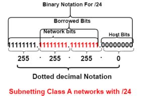 Everything About /24 Subnet Mask - Netizzan