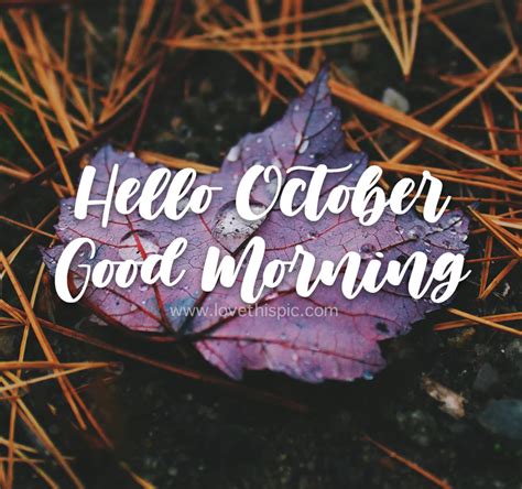 Water Leaf Hello October Good Morning Quote Pictures Photos And