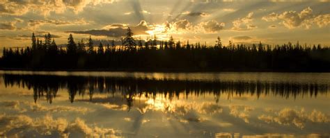 Lake At Sunrise With Pines Featured Image