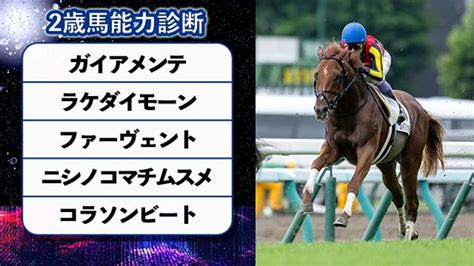 【2歳馬能力診断】武豊騎手騎乗のガイアメンテがデビューv！丹下日出夫 競馬動画 Netkeiba