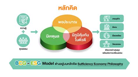 Esg และ Bcg Model เชื่อมโยงกับกับความยั่งยืนของธุรกิจอย่างไร