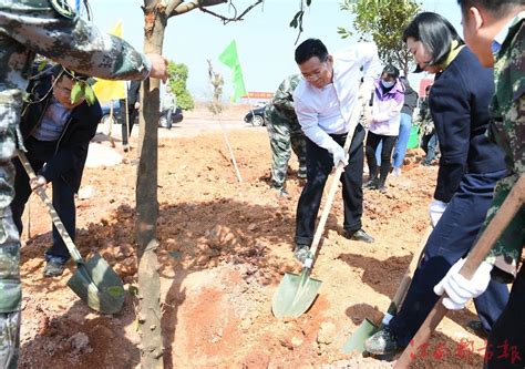 于都：植树添新绿，不负好春光 江南都市网