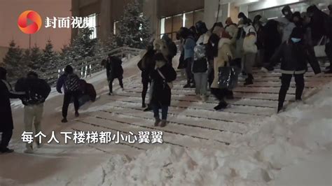 哈尔滨暴雪过后大学生僵尸式下台阶 网友：我已经开始种豌豆了新浪新闻