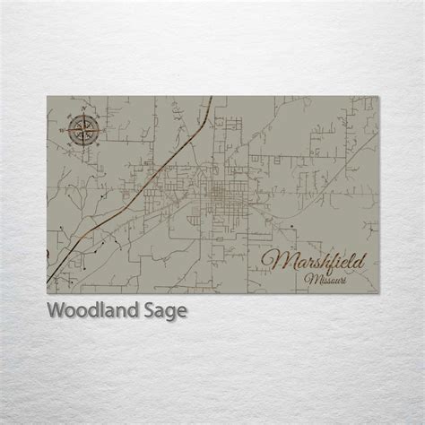 Marshfield, Missouri Street Map – Fire & Pine