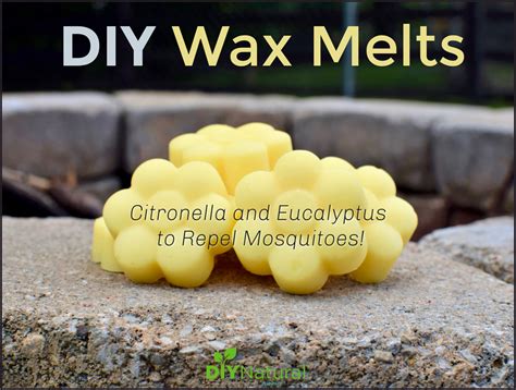 DIY Wax Melts: Homemade Citronell and Eucalyptus Wax Melts for Bugs!