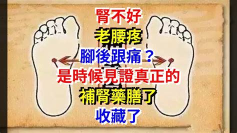 腎不好，老腰疼，腳後跟痛？是時候見證真正的補腎藥膳了，收藏了 Youtube