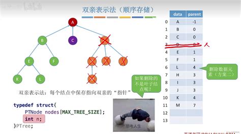 （数据结构）树的存储结构 Csdn博客