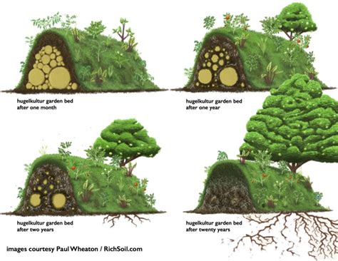 Hugelkultur Gardening Master Gardener Society Of Oakland County