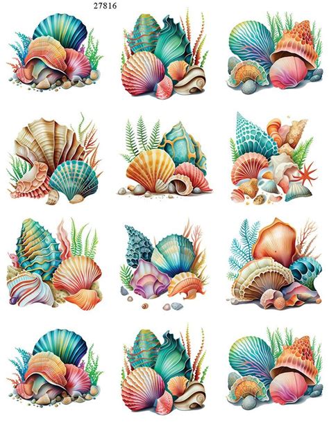 Colorful Sea Shells Ceramic Decals Fusible Decal Glass Fusing Decal