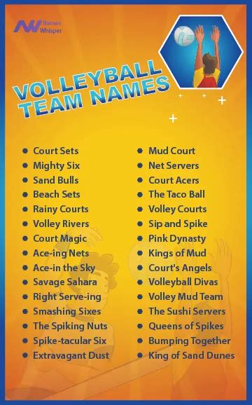 Funny Volleyball Team Names