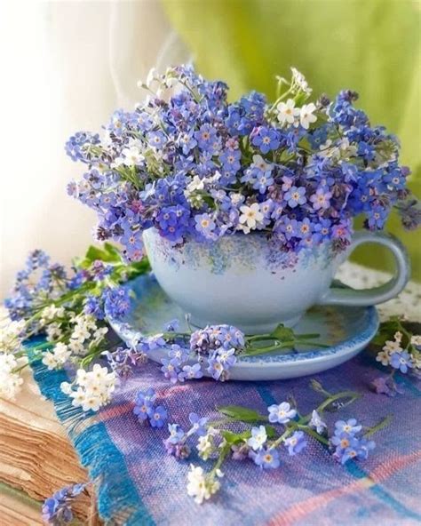 Pin By Marta Higueras On Desayuno Y Beautiful Flowers Photography