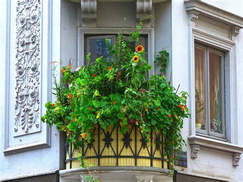 Balkon Und Terrasse Insektenfreundlich Gestalten Tipps Ideen