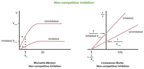 Enzymhemmung Reversible Irreversible Lecturio