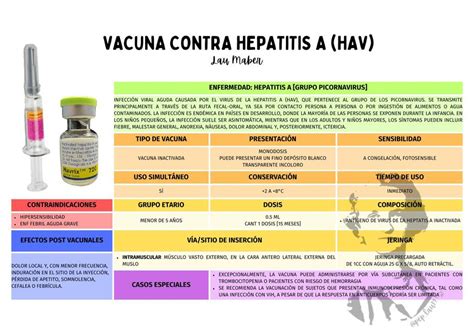 VACUNA CONTRA HEPATITIS A HAV Lau Maber UDocz