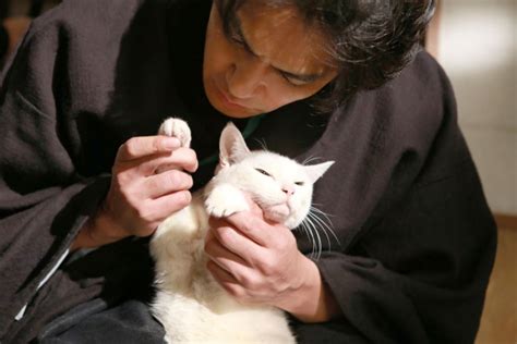 『猫侍』北村一輝、白猫あなごにデレデレ！ 頭頂部の匂いを嗅いで意思疎通 ／2015年3月27日 写真 エンタメ ニュース