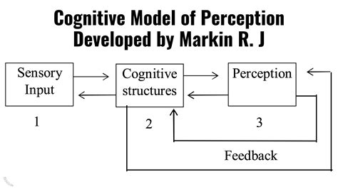 Perception And Consumer Behavior Comprehensive Guide