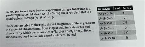 5. You perform a transduction experiment using a | Chegg.com